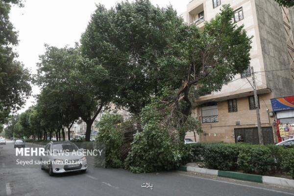 هواشناسی ایران 8 خرداد پیش بینی طوفان در تهران و البرز