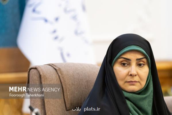 ایجاد زیرساخت های نوین در شهرهای جدید، محرک جذب سرمایه گذاری است