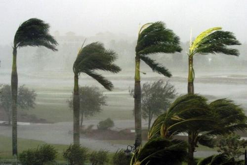 پیش بینی وزش باد شدید در تعدادی ساعات در نوار غربی کشور