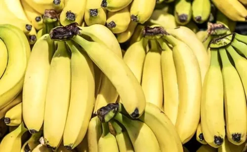 تکذیب توقف واردات موز