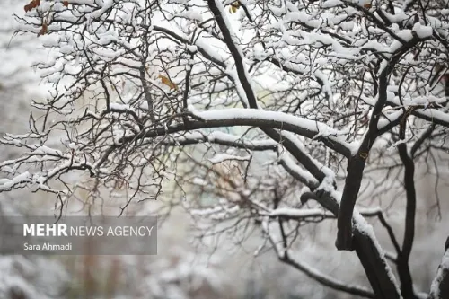 ورود سامانه بارشی به کشور بارندگی برف و کولاک در راهست