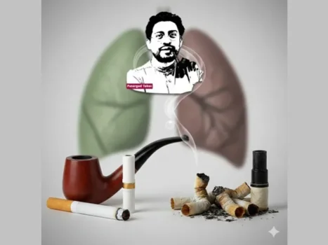 بررسی علمی و معرفی بهترین گزینه فیلتر سیگار و پیپ