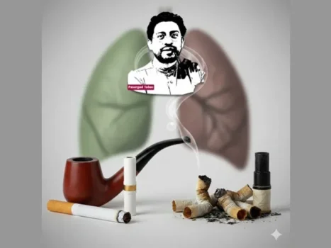 بررسی علمی و معرفی بهترین گزینه فیلتر سیگار و پیپ
