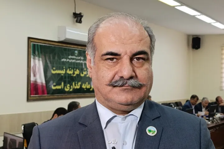 برداشت چوب از جنگلهای هیرکانی ممنوع ماند