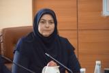 روایت شرفبافی از مشكلات خرید هواپیماهای جدید