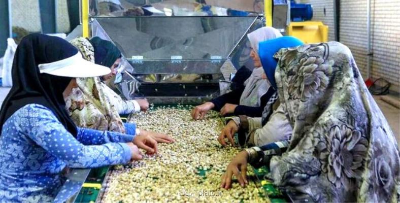 تاسیس ۳۴۰۰ تعاونی در چارچوب طرح روستا تعاون